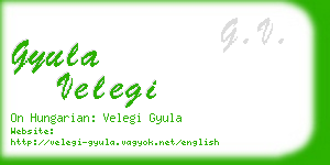 gyula velegi business card